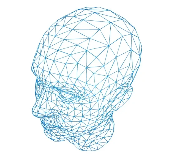 Face tracking mesh